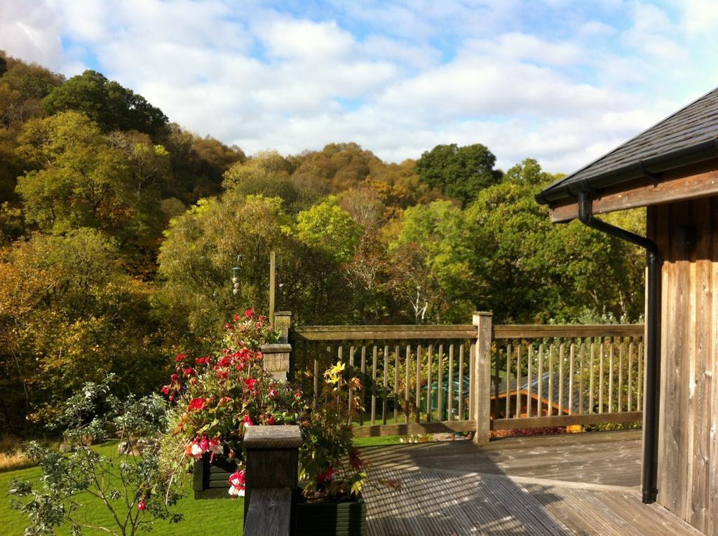 Tanglewood Lodge 테이뉠트 외부 사진